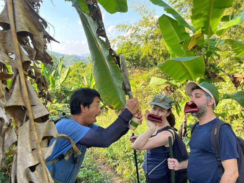 1 Day Trekking in Chiang Rai forest (walk only) - Lahu and Akha villages along the route