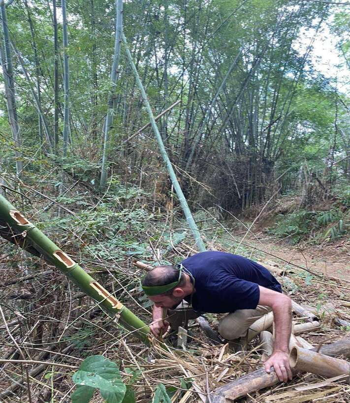 1 Day Trekking in Chiang Rai forest (walk only) - Bamboo cooking is the heart of the experience