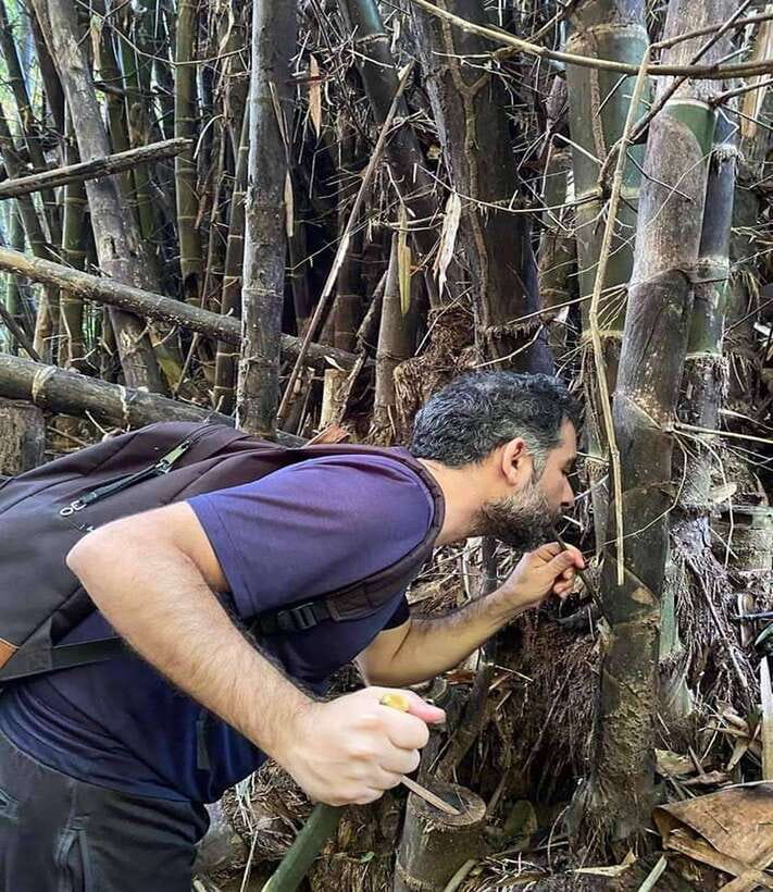 1 Day Trekking in Chiang Rai forest (walk only) - What makes the guides so important