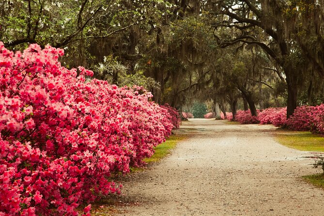 2-Hour Bonaventure Cemetery Walking Tour - Who will enjoy this walk most?