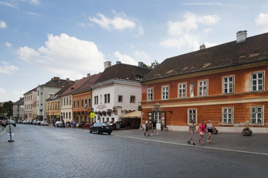 3-Hour Orientation Walking Tour of Buda and Pest - A guide who makes the difference