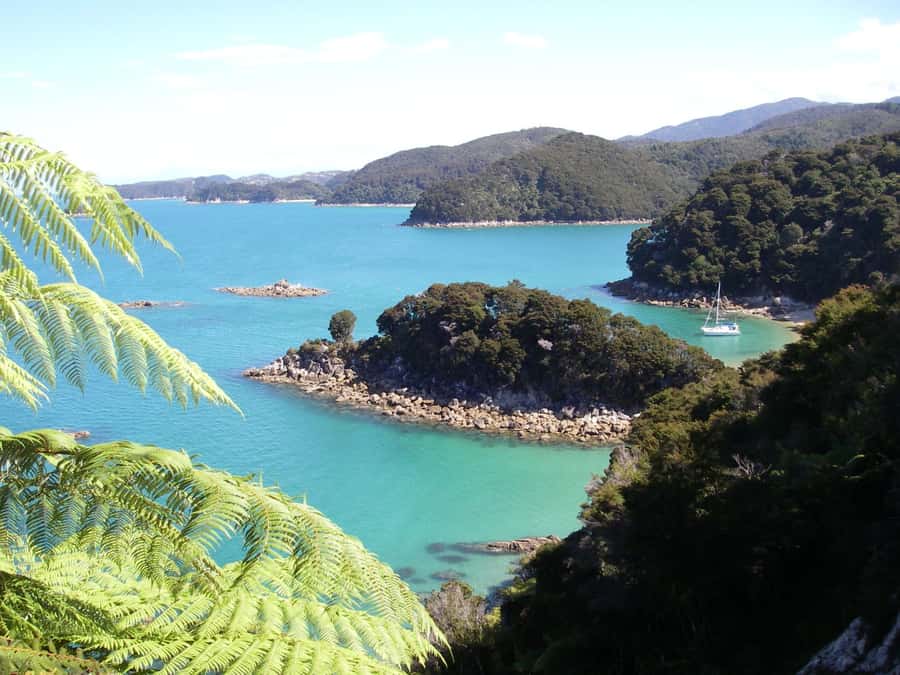 Abel Tasman National Park: Sailing and Self-Guided Walk - Key points to know before you book