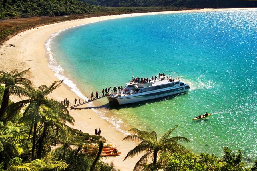 Abel Tasman: Sea Shuttle Cruise and Walking Tour Combo - Option B: Medlands Beach, swing bridge, and forest