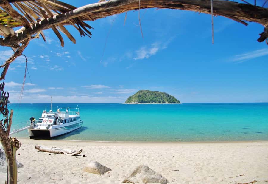 Abel Tasman: Sea Shuttle Cruise and Walking Tour Combo - Option C: Five beaches from Awaroa to Medlands