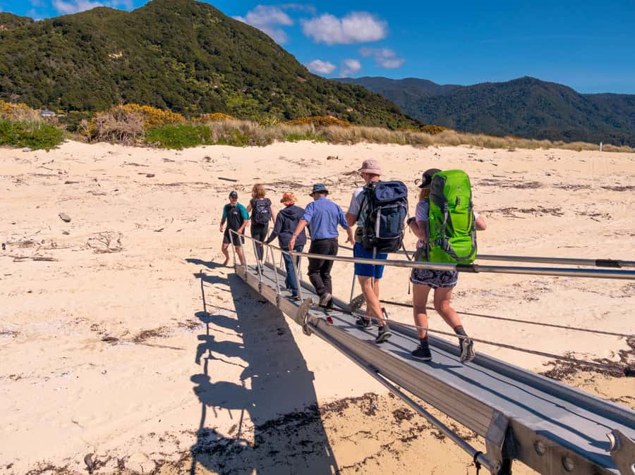 Abel Tasman: Sea Shuttle Cruise and Walking Tour Combo - How hard are the walks?