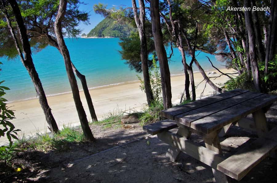 Abel Tasman: Sea Shuttle Cruise and Walking Tour Combo - What the crew does well, and where it falls short
