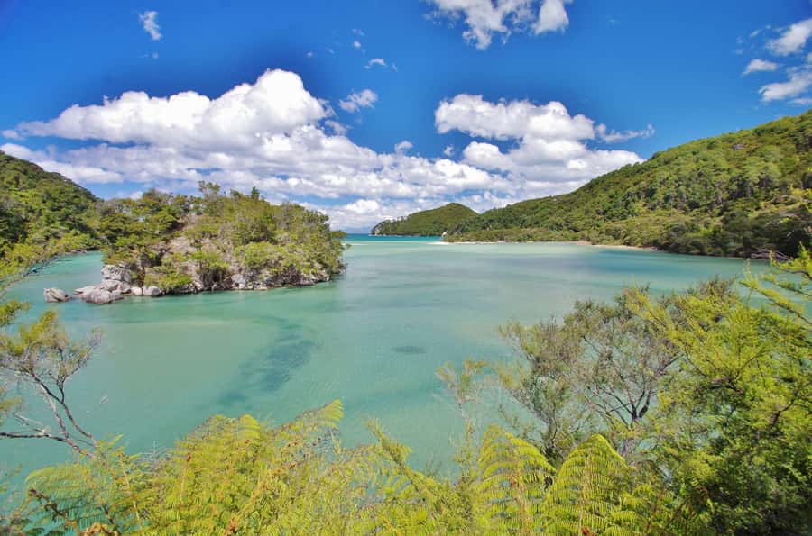 Abel Tasman: Sea Shuttle Cruise and Walking Tour Combo - Is $74 good value?