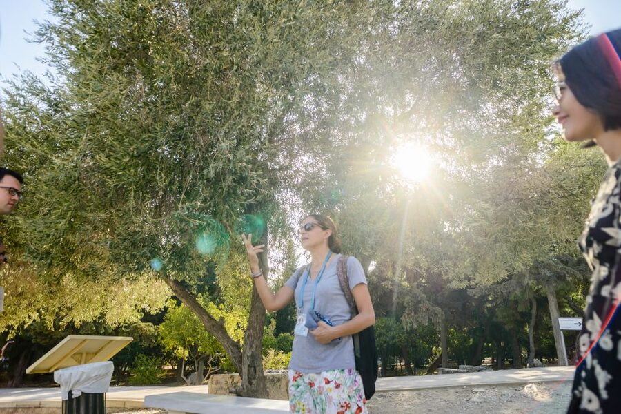 Acropolis: Acropolis and Parthenon Guided Walking Tour - What this Acropolis tour is really like