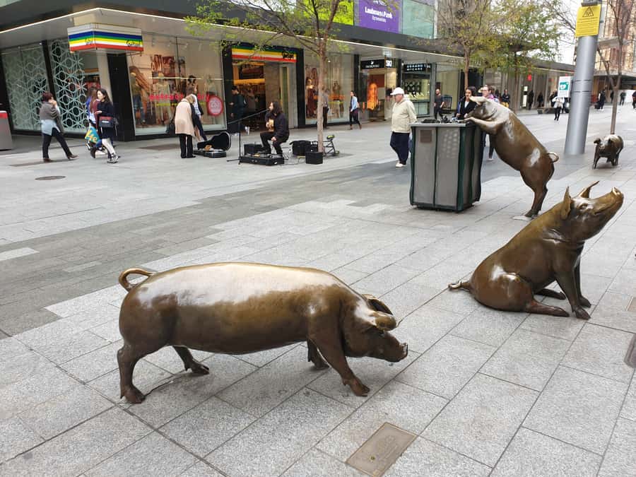 Adelaide: City Walking Tour with Guide - Adelaide Town Hall and the City’s Quirky Details