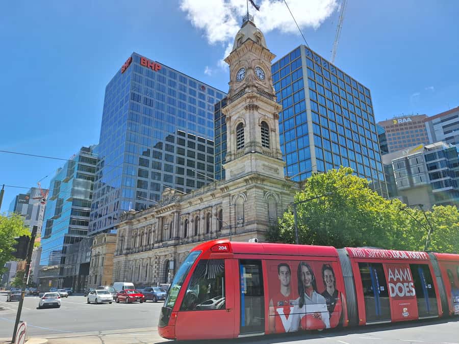 Adelaide: Guided Ultimate Walking Tour with Drink and Snack - Karrawirra Parri and the riverside tasting break
