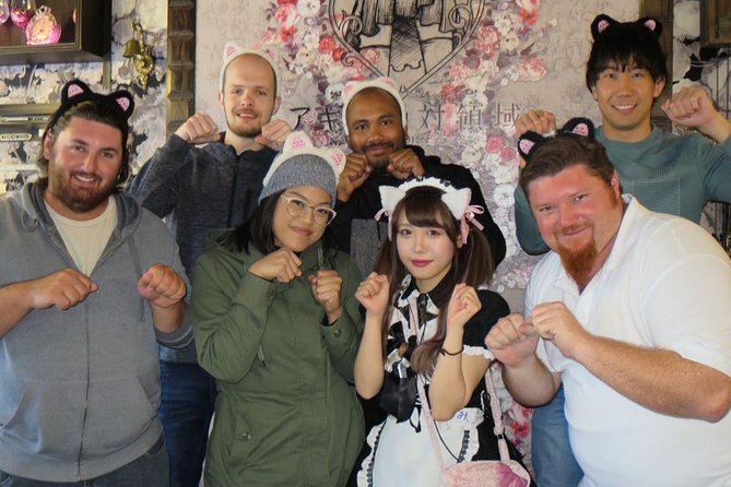 Akihabara Anime & Game Adventure Walking Tour (Group or Private) - Why Akihabara works better with a plan