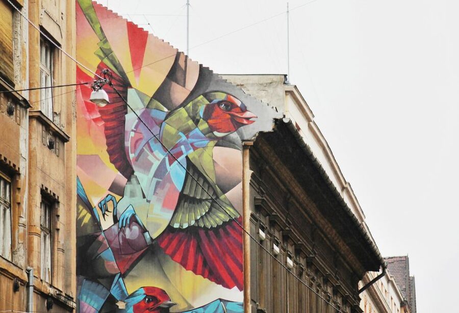 Alternative Budapest Walking Tour - Cafés, design shops, and art collectives