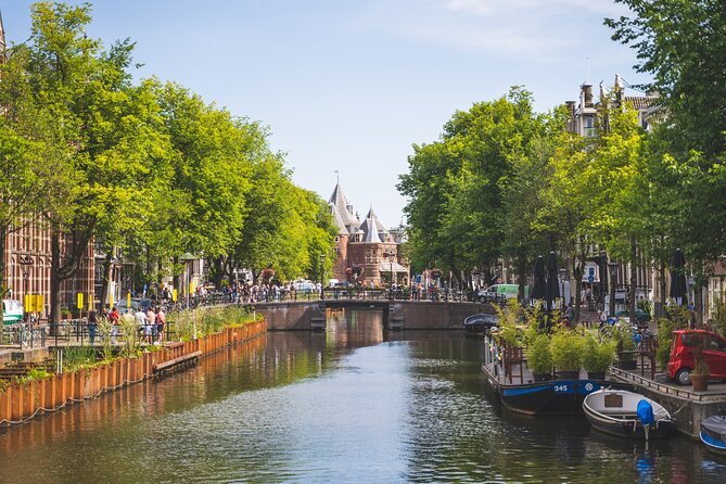 Amsterdam Highlights Small-Group Walking Tour - What the guides add, and where the experience can slip