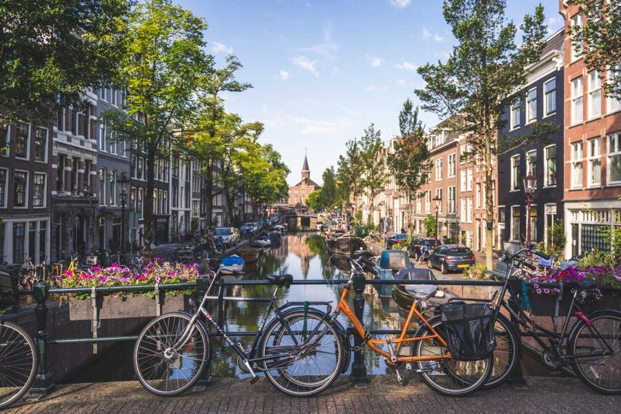 Amsterdam Small-Group Walking Tour - Red Light District Stories Without the Cheap Gags