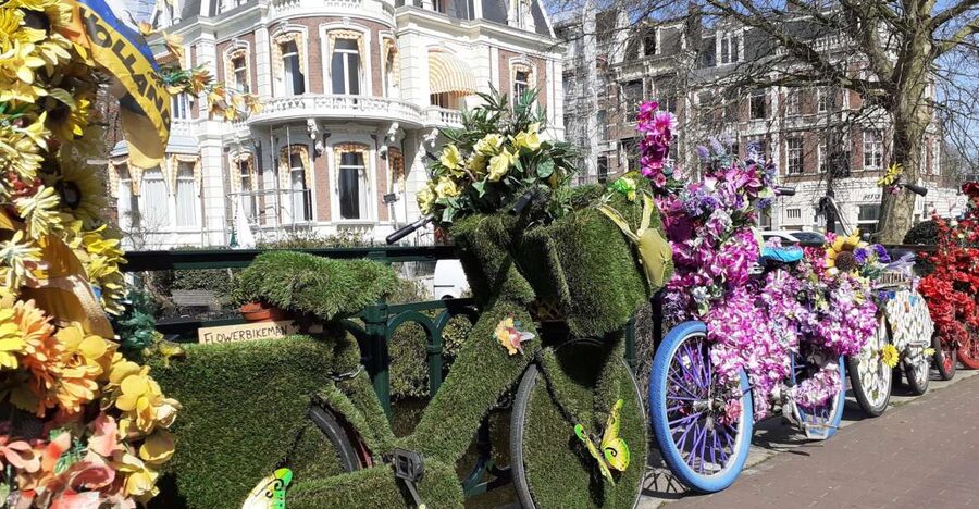Amsterdam Walking Tour and Canal Cruise - Guides, languages, and the private format