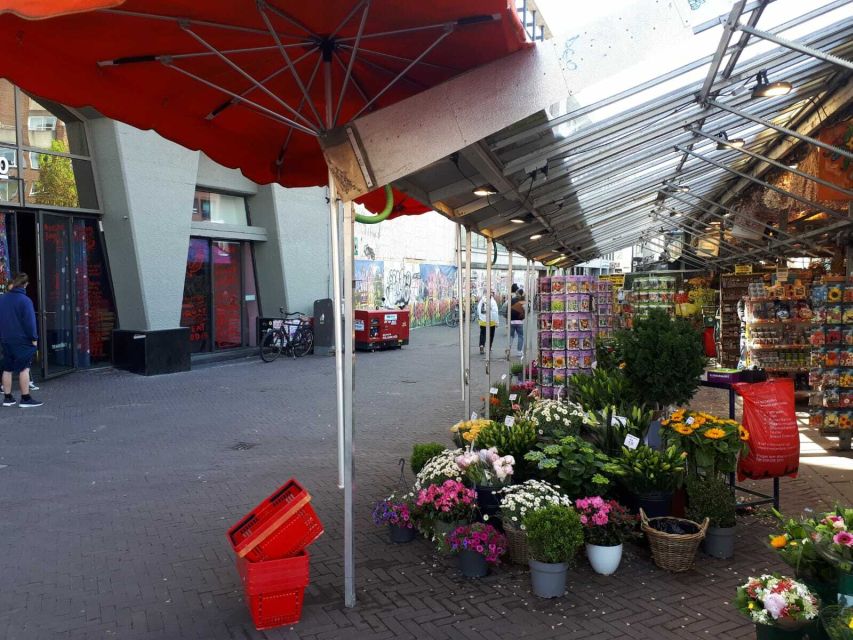 Amsterdam Walking Tour and Canal Cruise - Starting near Central Station or at your hotel