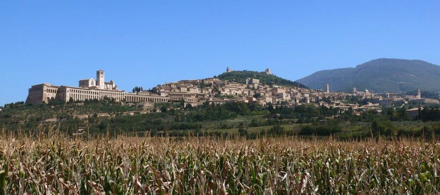 Assisi: Walking Tour with St. Francis Basilica Visit - Starting at Matteotti and the Roman amphitheater