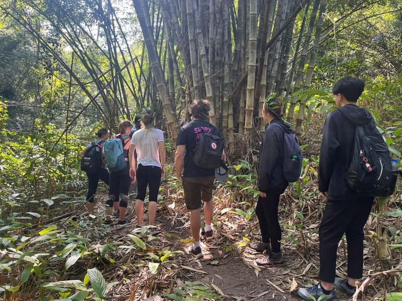 Authentic trek only walk in Chiang Rai jungle - What this Chiang Rai trek is really like