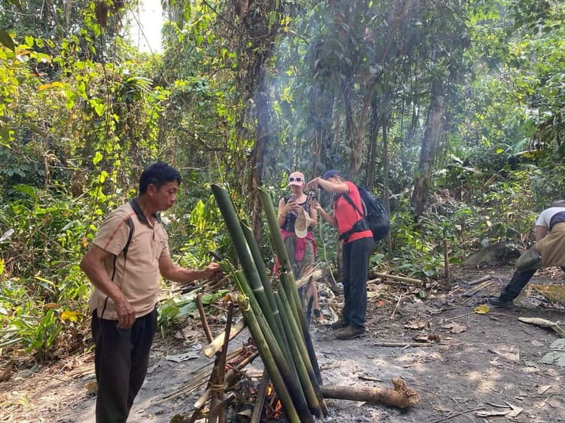 Authentic trek only walk in Chiang Rai jungle - Tea plantations and the changing scenery