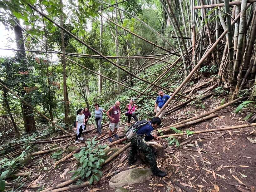Authentic trek only walk in Chiang Rai jungle - Bamboo cooking turns lunch into an activity