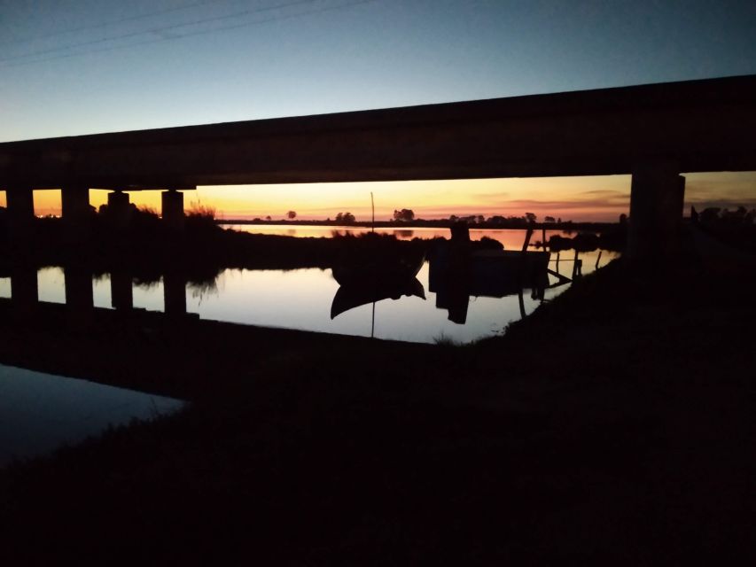Aveiro: Walking Tour, Boat Cruise, Sweets & Church Entrance - Key points to know before booking