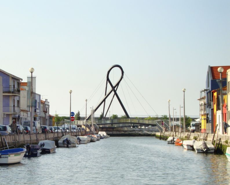 Aveiro: Walking Tour, Boat Cruise, Sweets & Church Entrance - The Moliceiro cruise and its best views