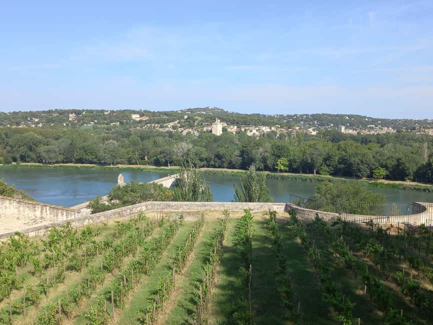 Avignon: City Walking Tour with Popes Palace Entry - Practical details that matter