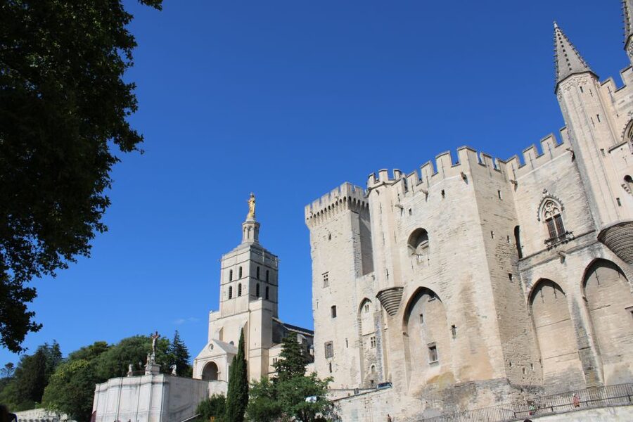 Avignon: Historic District Guided Food & Wine Walking Tour - Rue Carnot: a first taste of Provençal life