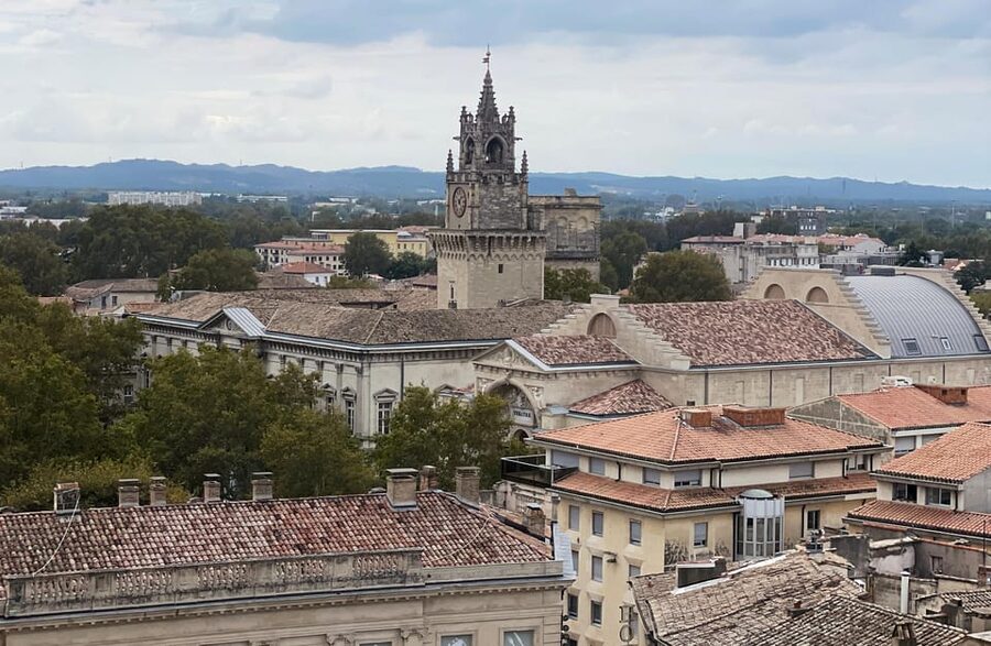 Avignon: History and Legend Walking Tour - Pont Saint-Bénézet, the bridge with a famous story