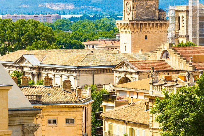 Avignon Walking Tour including Pope's Palace - Entering the Palais des Papes