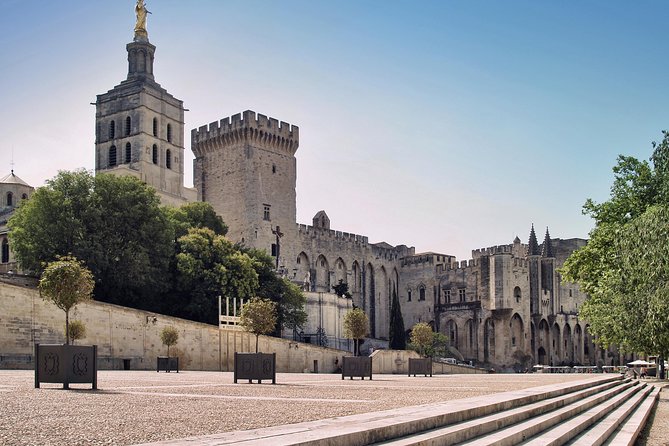 Avignon Walking Tour including Pope's Palace - Walking Avignon’s medieval center