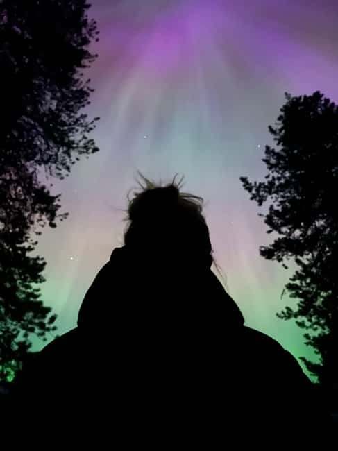 Banff: Guided Sunset and Stargazing Tour - The $66 price and what it covers