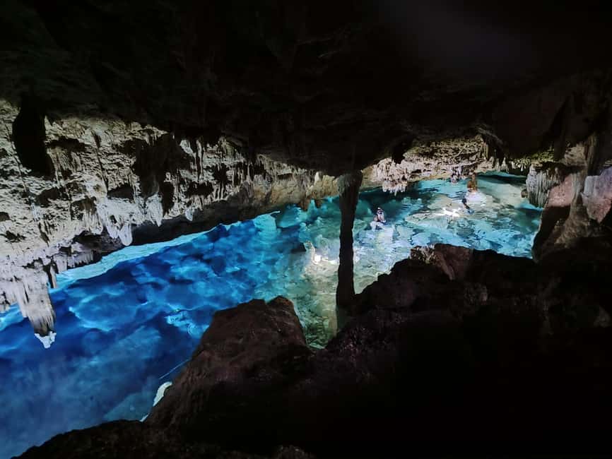 Bayahibe: National Park Jungle Walk & Snorkeling in Cenotes - Walking Through Cotubanamá National Park