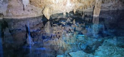 Bayahibe: National Park Jungle Walk & Snorkeling in Cenotes