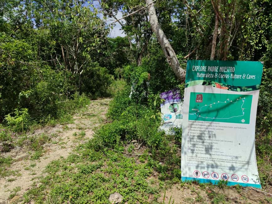 Bayahibe: National Park Jungle Walk & Snorkeling in Cenotes - What the Guides Add to the Experience
