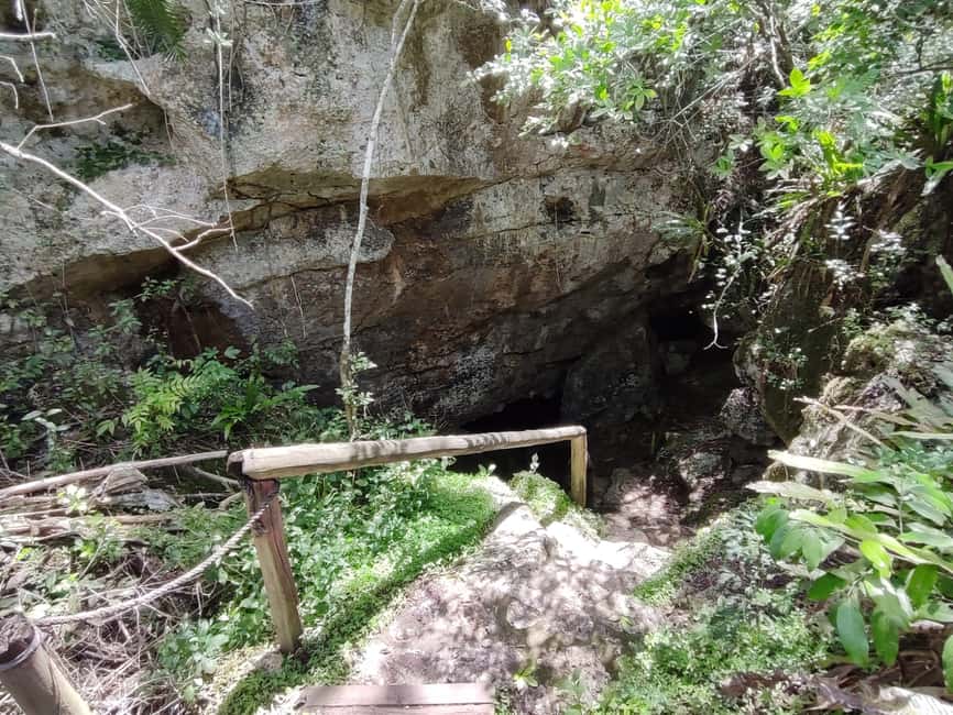 Bayahibe: National Park Jungle Walk & Snorkeling in Cenotes - What $55 Buys You