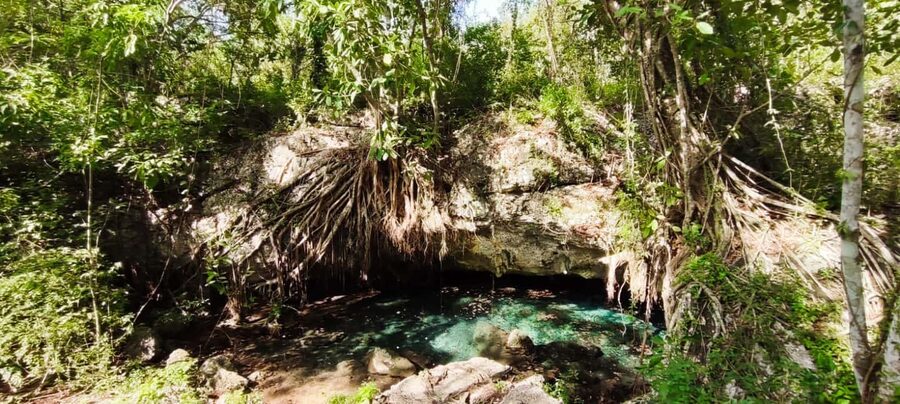 Bayahibe: National Park Jungle Walk & Snorkeling in Cenotes - What to Bring for a Better Day