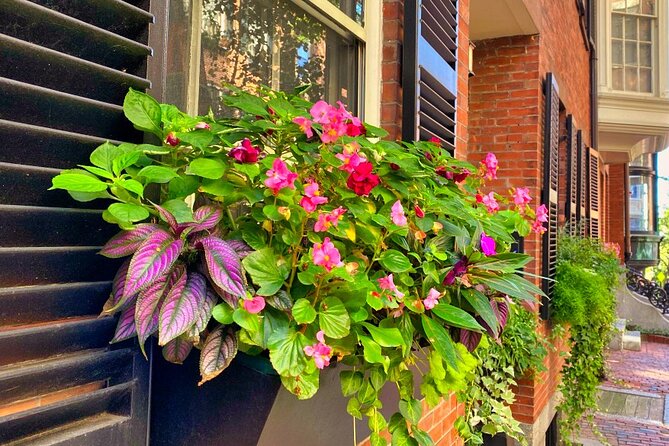 Beacon Hill Boston History + Photo Walking Tour (SMALL Group) - Louisburg Square and Beacon Hill’s polished side