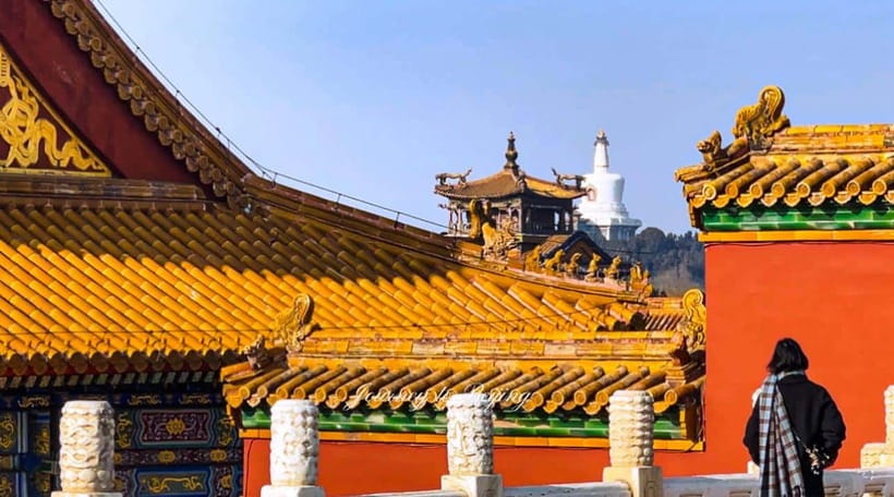 Beijing: Highlights of Forbidden City Private Walking Tour - Choosing an afternoon: temple, palace, wall, or hutongs