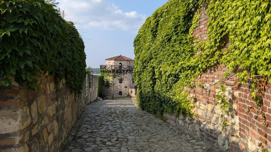 Belgrade: 3-Hour Serbian History Walking Tour - Student Park and the Orthodox heart of the city