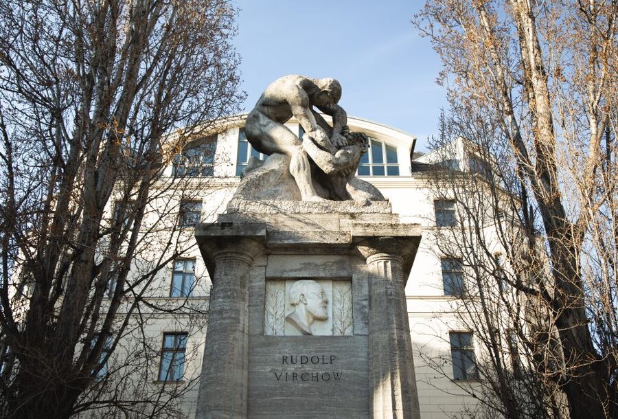 Berlin: walking tour about Charité - Who should book this experience?