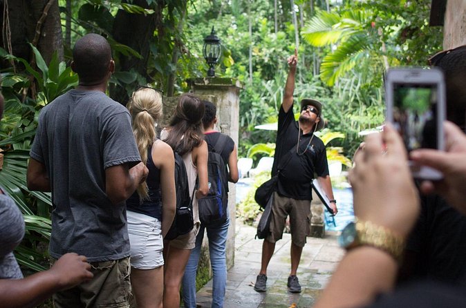 Bites of Nassau Food and Walking Tour - Weather, pace, and the practical side of the walk