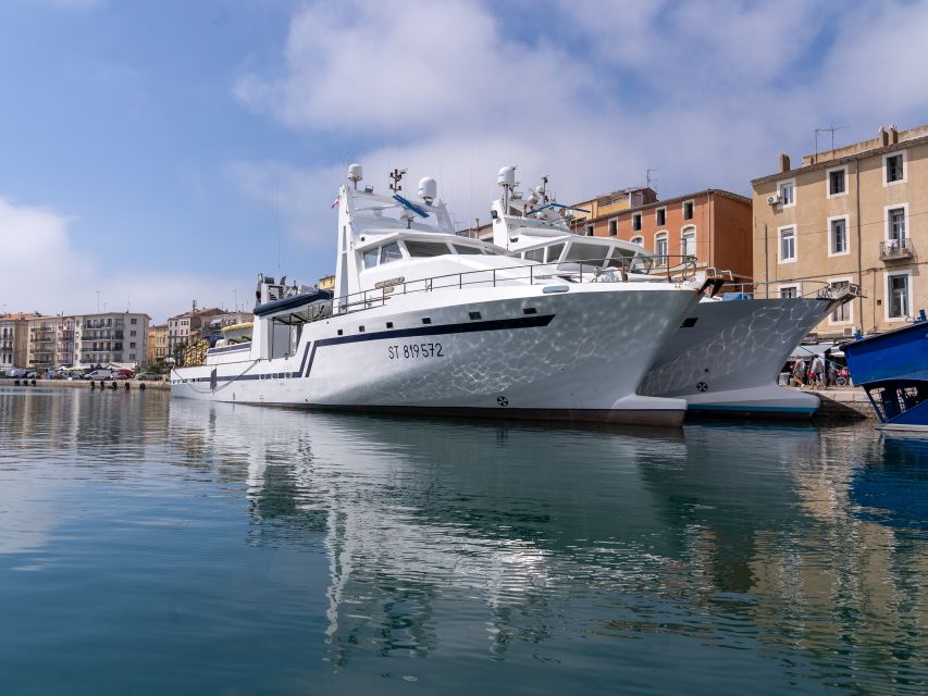 Boat walk in Sete on the singular island 1 hour - The canal route and the city views