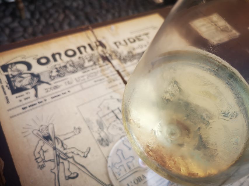 Bologna: City Center Guided Wine Walking Tour - Why Colli Bolognesi makes a good city tasting