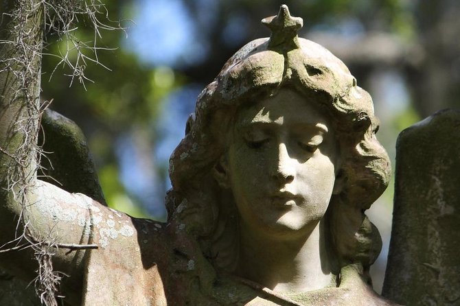 Bonaventure Cemetery Walking Tour with Transportation - The drive sets up the cemetery visit