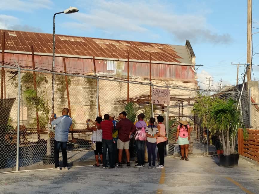 Bridgetown: A Guided Walking Tour of The History of a City - Key points about this Bridgetown walking tour