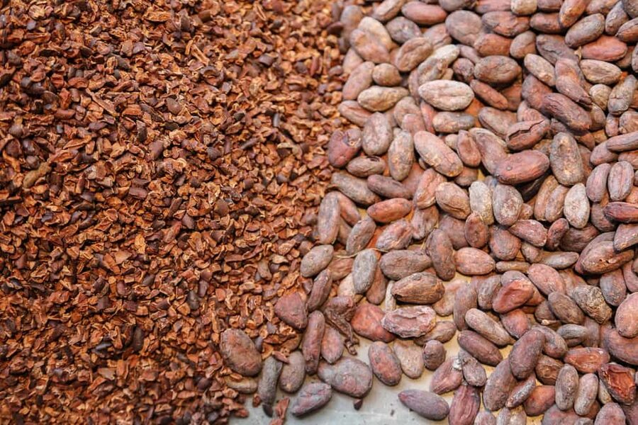 Brussels: Chocolate Appreciation and Tasting Walking Tour - Grand Place adds the city context