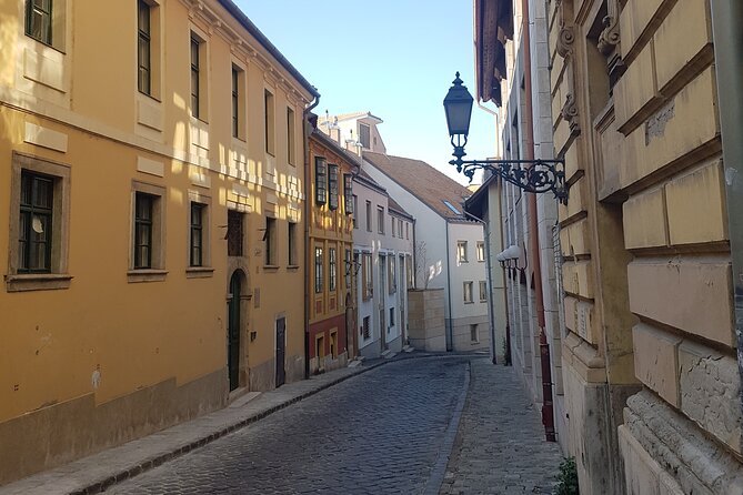 Budapest: Castle District Walking Tour - Royal Palace, Hungarian legends, and public art