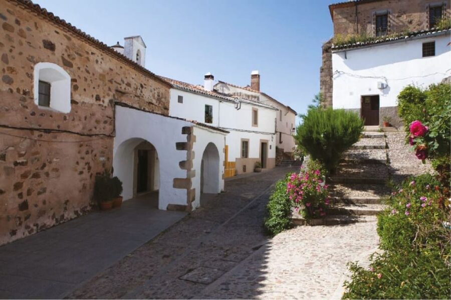 Cáceres: City Highlights Walking Tour with Local Guide - San Francisco Javier and the Mercedes Calles collection