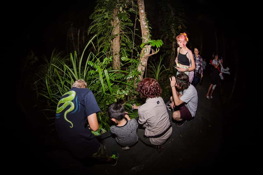 Cairns: Night Walk in Cairns Botanic Gardens - Why the guide matters so much